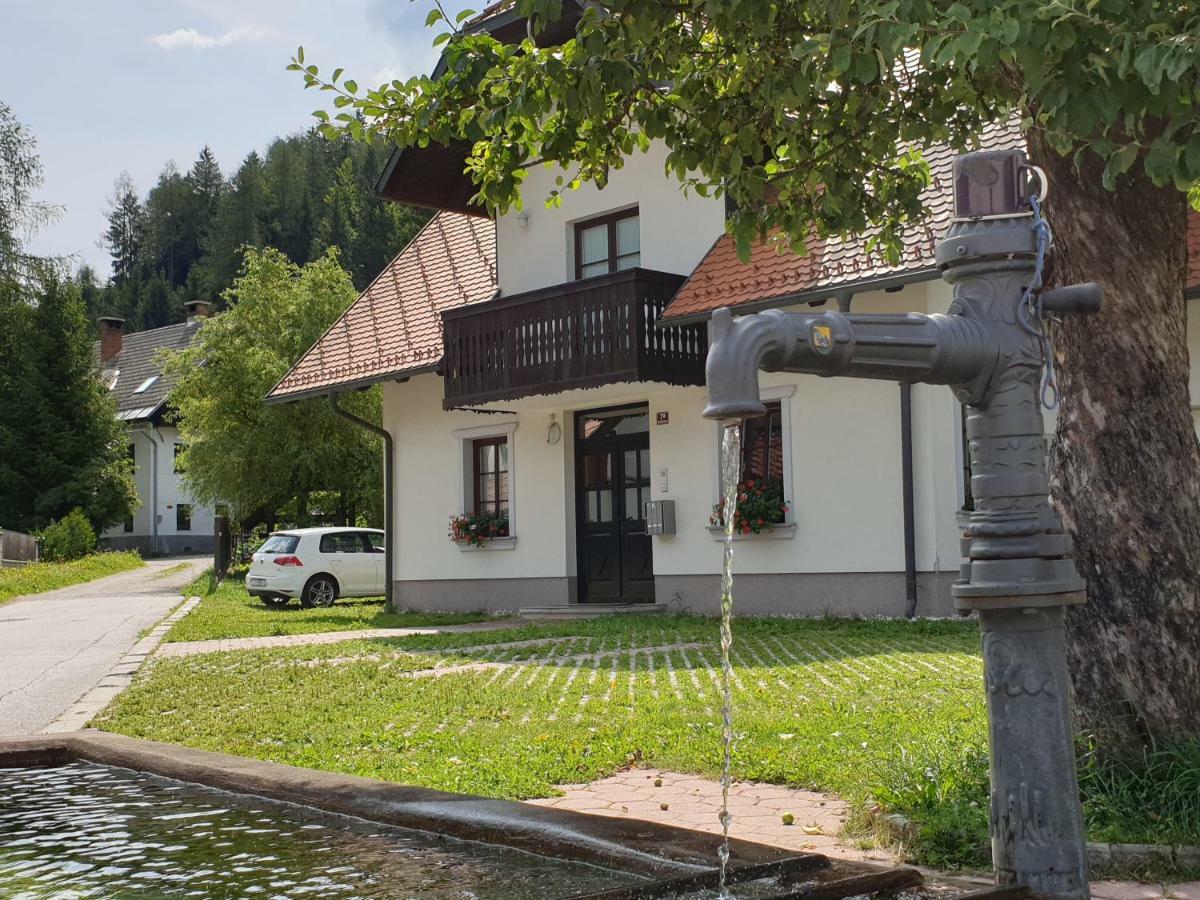 Apartman Irvin Kranjska Gora Extérieur photo